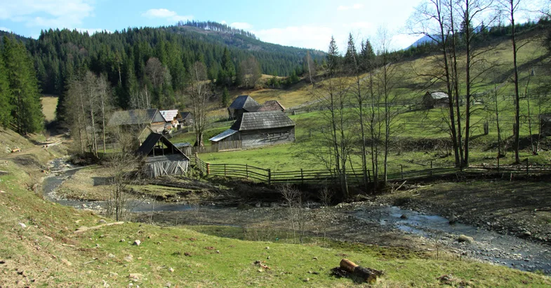 Mountain trail Tarcău – Brates – Batca Rachitei Peak