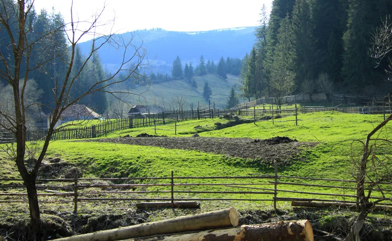 Mountain trail Tarcău – Brates – Batca Rachitei Peak