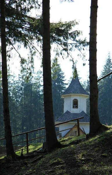 Mountain trail Tarcău – Brates – Batca Rachitei Peak