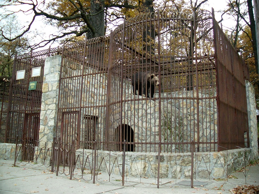 Rezervația de zimbri și faună carpatină „Dragoș Vodă” – Vânători-Neamț – fotografia 5