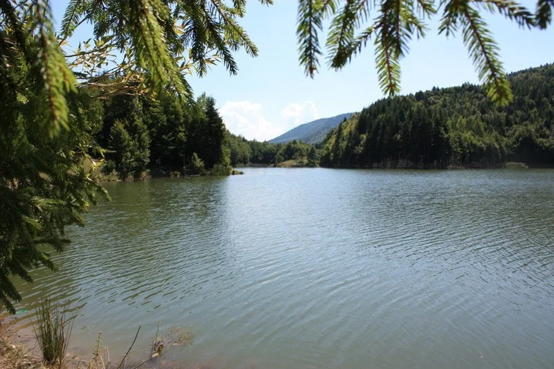 Cuejdel Lake