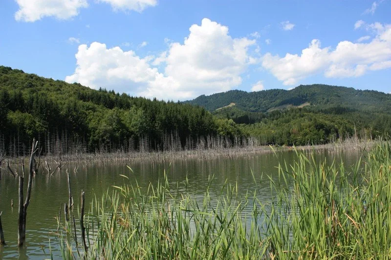 Cuejdel Lake