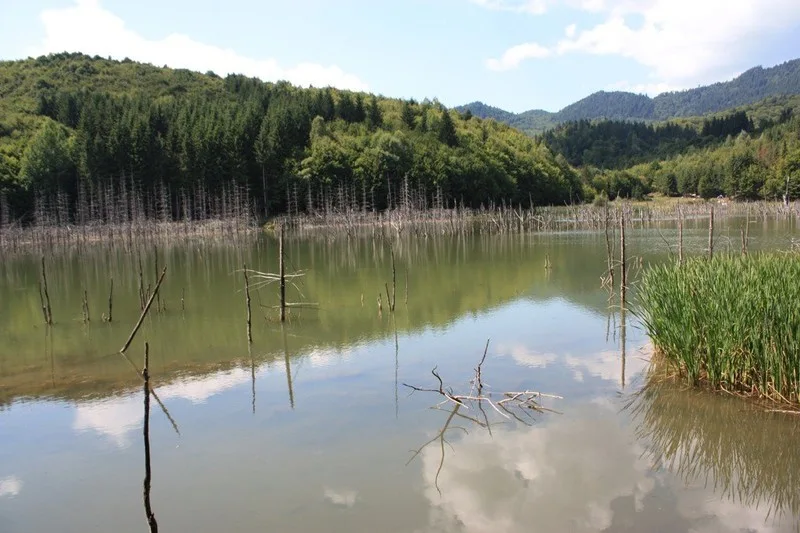 Cuejdel Lake