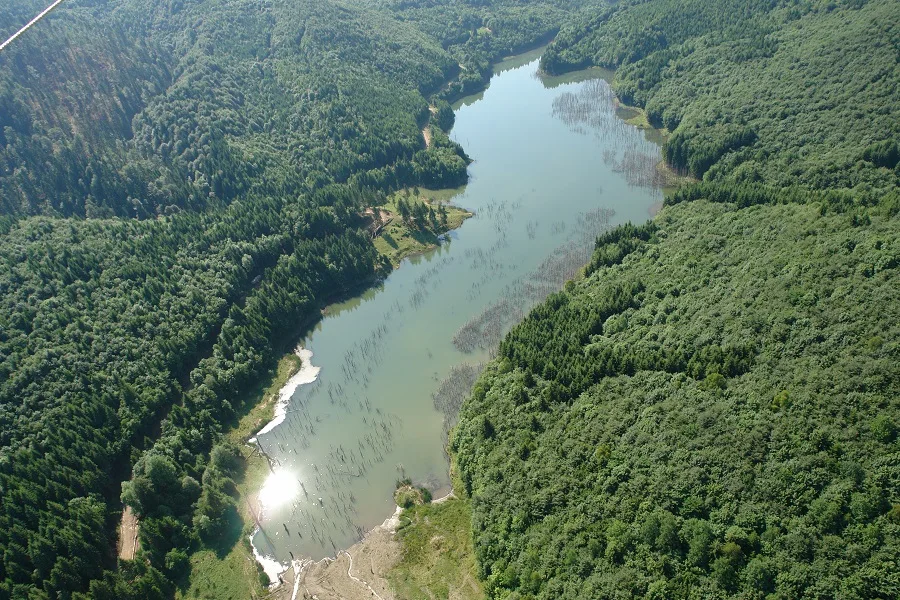 Cuejdel Lake Natural Reserve – Neamț County – photo 22