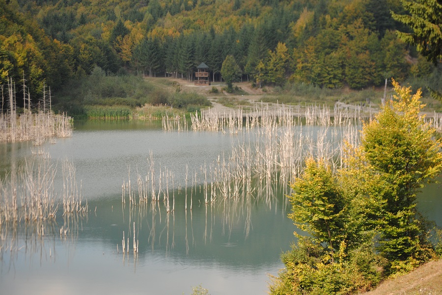 Rezervația naturală LACUL CUEJDEL – Județul Neamț