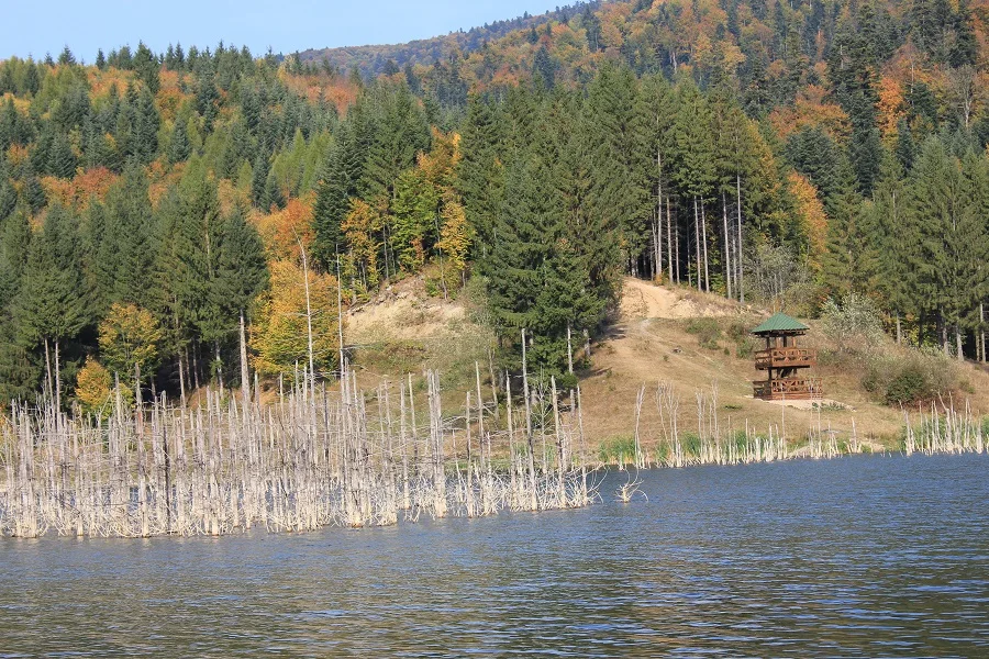 Cuejdel Lake Natural Reserve – Neamț County – photo 23