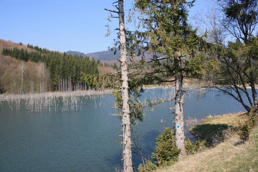 Cuejdel Lake Natural Reserve – Neamț County – photo 24