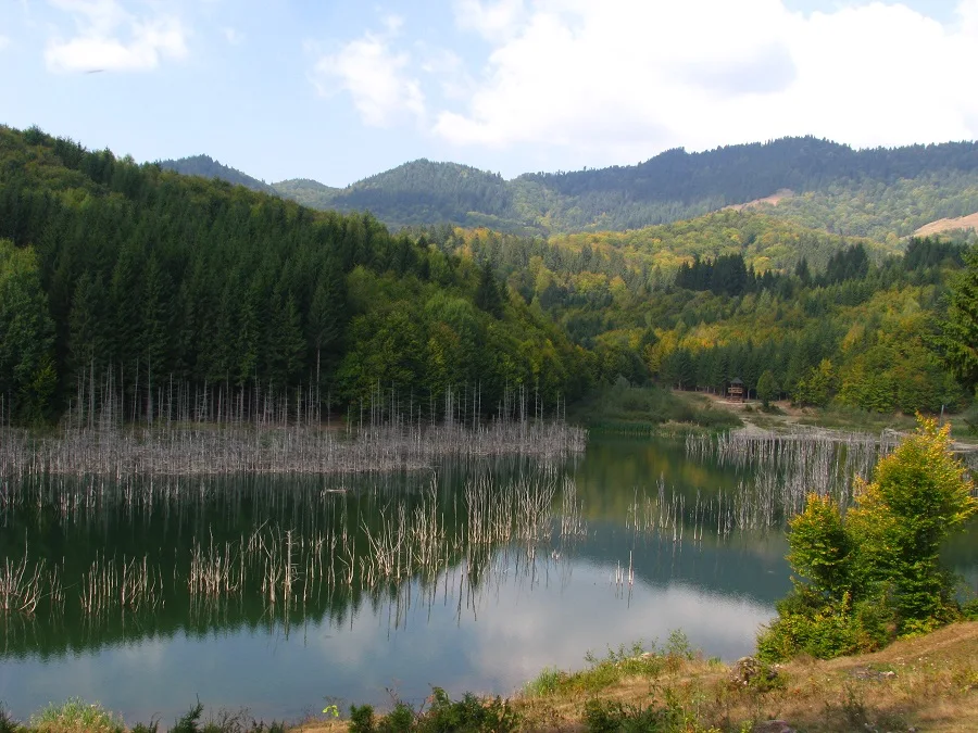 Cuejdel Lake Natural Reserve – Neamț County – photo 25