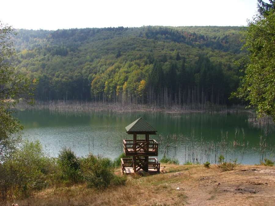Cuejdel Lake Natural Reserve – Neamț County – photo 26