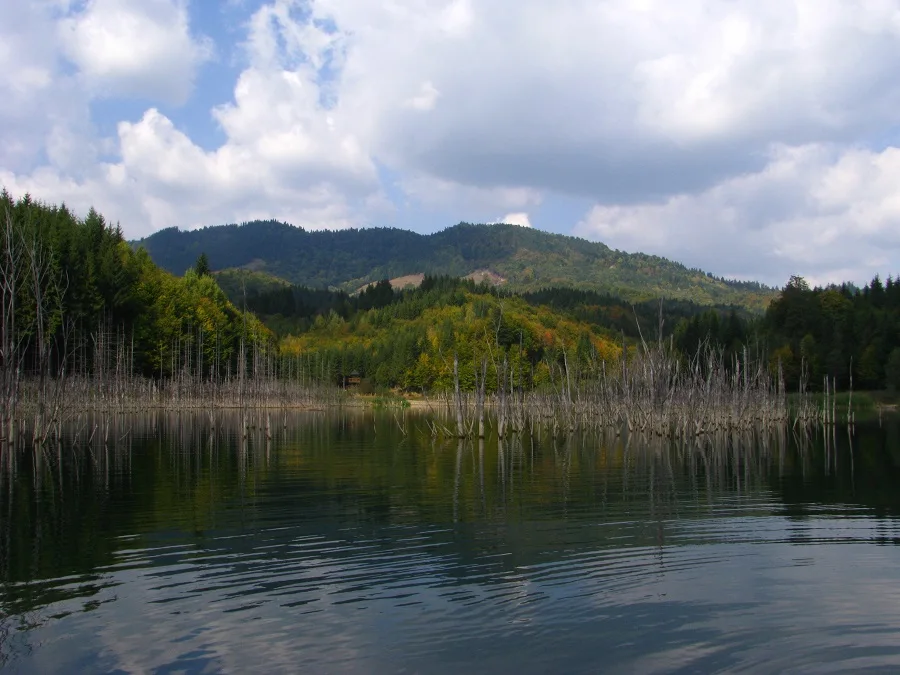 Cuejdel Lake Natural Reserve – Neamț County – photo 27