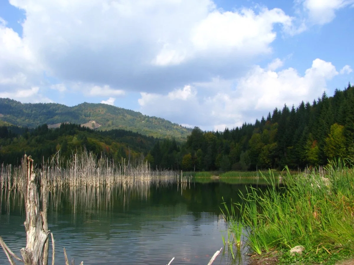 Cuejdel Lake Natural Reserve – Neamț County – photo 28