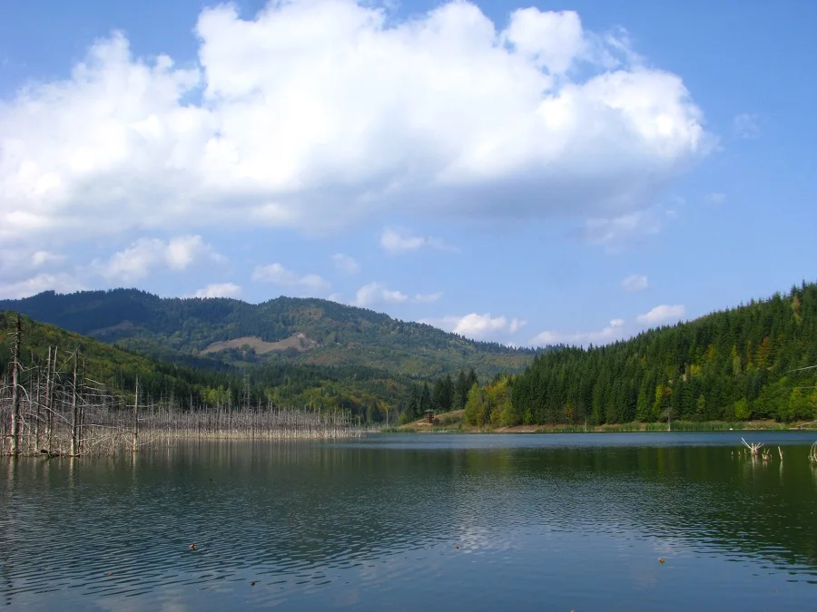 Cuejdel Lake Natural Reserve – Neamț County – photo 30