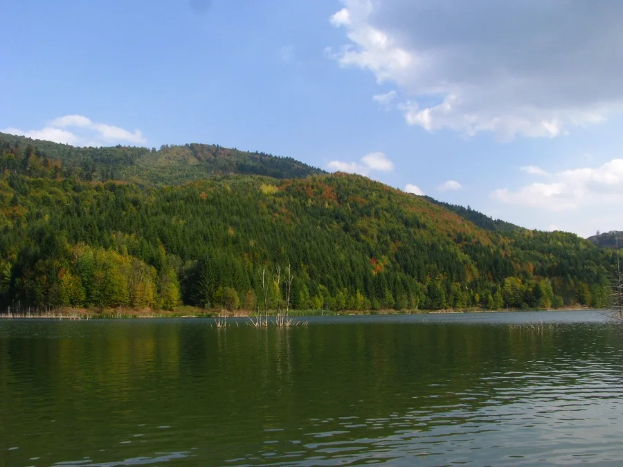 Cuejdel Lake Natural Reserve – Neamț County – photo 31