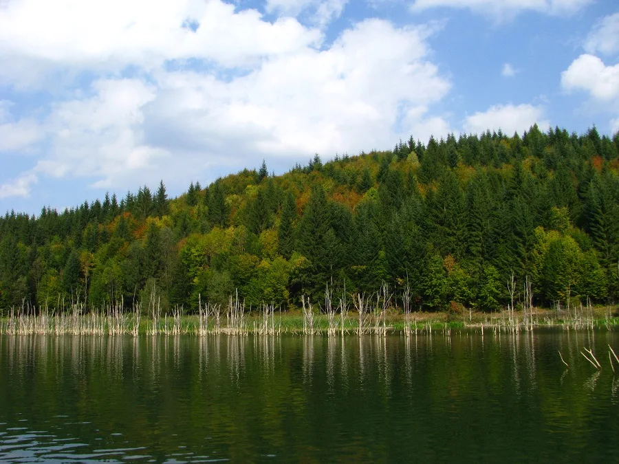 Cuejdel Lake Natural Reserve – Neamț County – photo 32