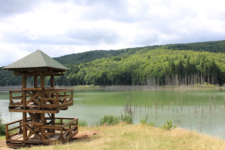 Cuejdel Lake Natural Reserve – Neamț County – photo 33