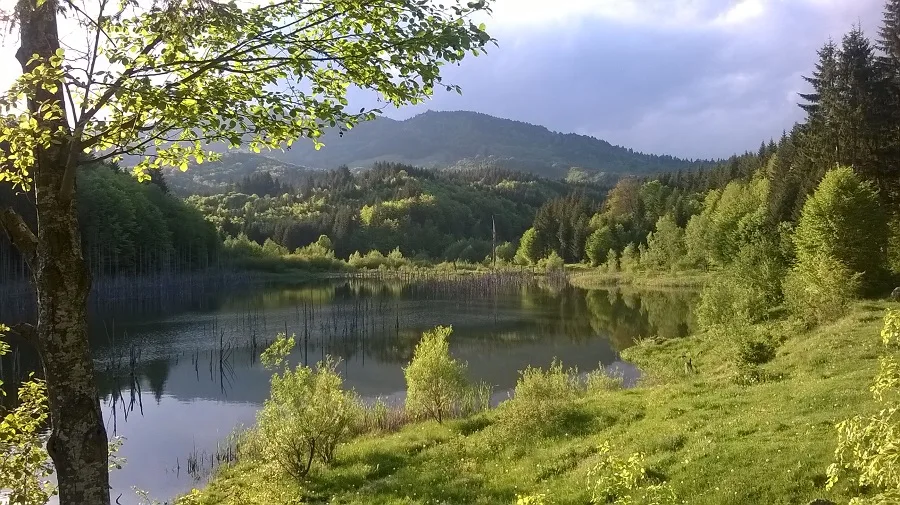 Cuejdel Lake Natural Reserve – Neamț County – photo 34
