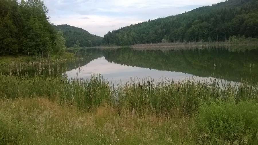 Cuejdel Lake Natural Reserve – Neamț County – photo 35