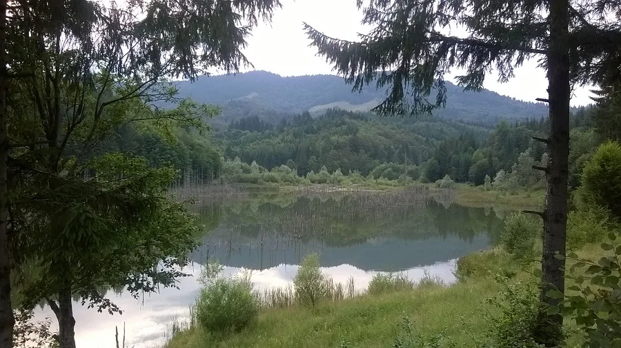 Cuejdel Lake Natural Reserve – Neamț County – photo 36