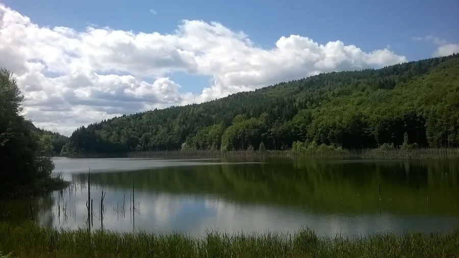 Cuejdel Lake Natural Reserve – Neamț County – photo 37