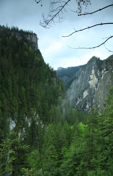 Cheile Bicazului