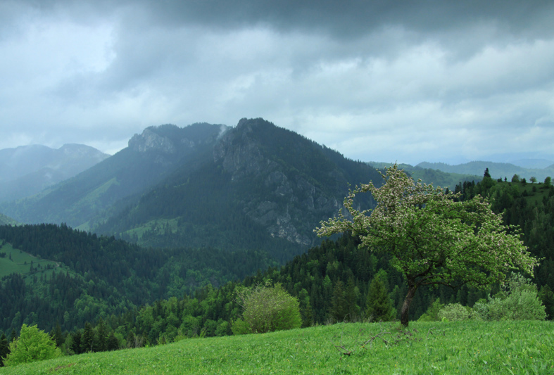 Cheile Bicazului