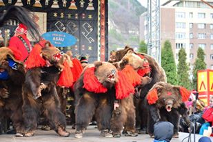 Festivalul de datini și obiceiuri de iarnă “Steaua sus răsare” 2017 (II) – fotografia 4
