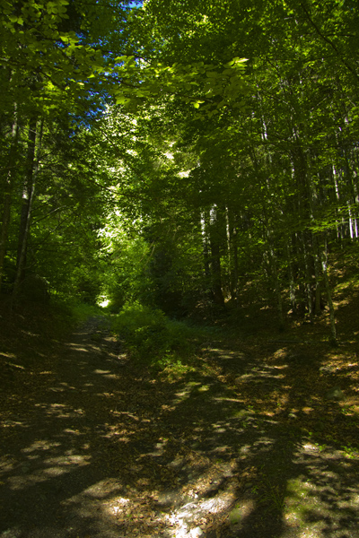 Traseu in Ceahlau: Izvorul Muntelui - Poiana Maicilor - Dochia