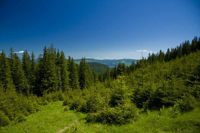 Traseu in Ceahlau: Izvorul Muntelui - Poiana Maicilor - Dochia