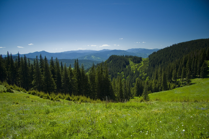 Traseu in Ceahlau: Izvorul Muntelui - Poiana Maicilor - Dochia