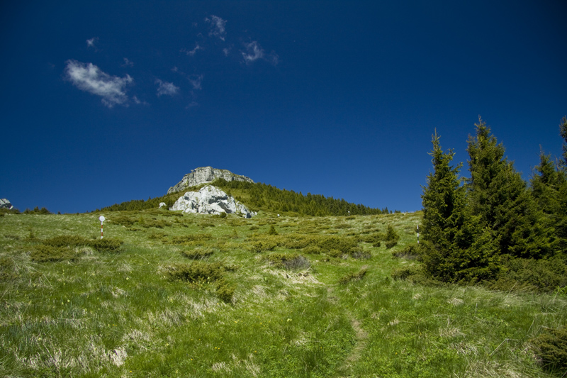 Traseu in Ceahlau: Izvorul Muntelui - Poiana Maicilor - Dochia