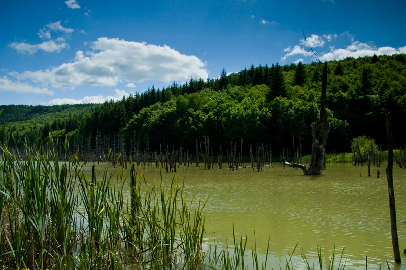Cuejdel Lake