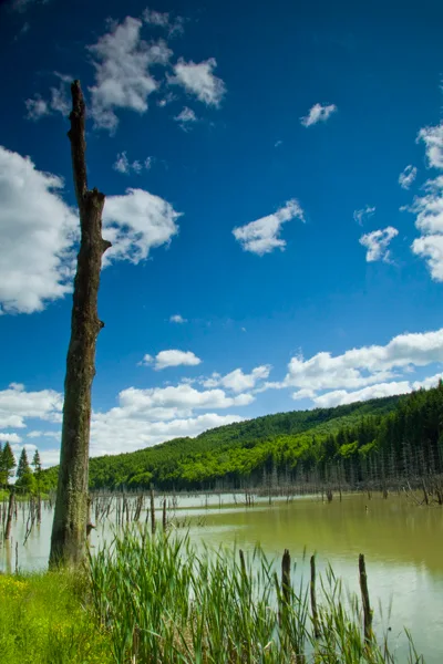 Cuejdel Lake
