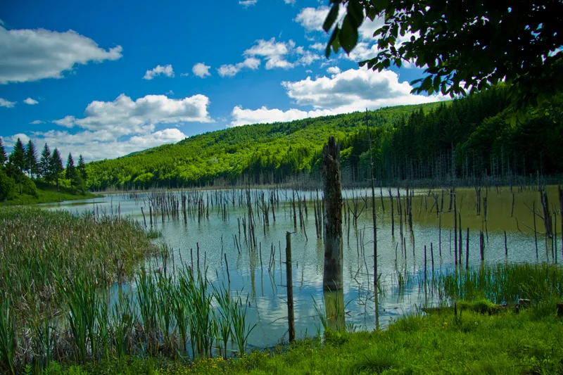 Cuejdel Lake