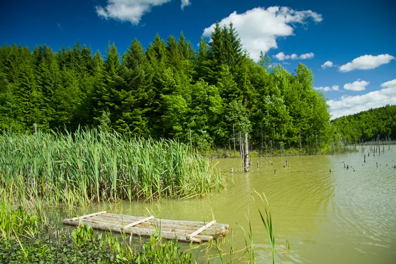 Cuejdel Lake
