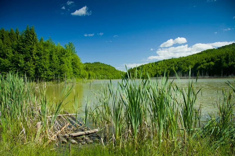Cuejdel Lake