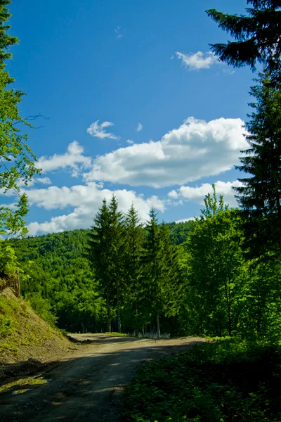 Cuejdel Lake