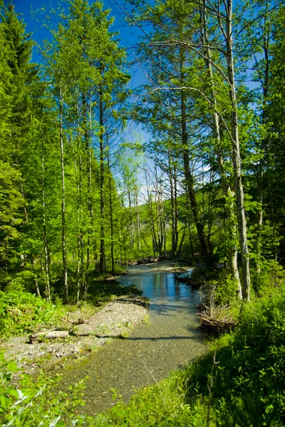 Cuejdel Lake