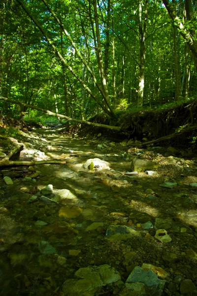 Cuejdel Lake
