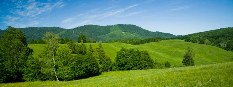 Cuejdel Lake