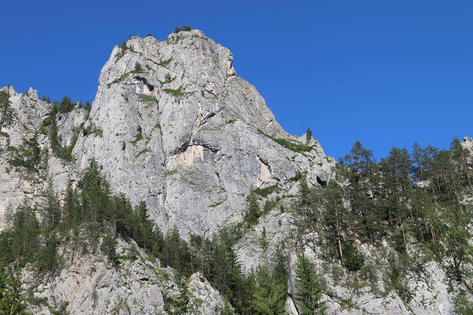 Via Ferrata „Astragalus”– aventură la înălțime în Neamț – fotografia 1