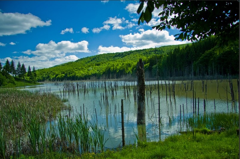 Pe traseul turistic Piatra Neamț –Bălțătești – Tîrgu Neamț – photo 8