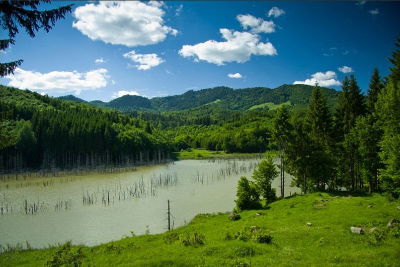 Pe traseul turistic Piatra Neamț –Bălțătești – Tîrgu Neamț – photo 9