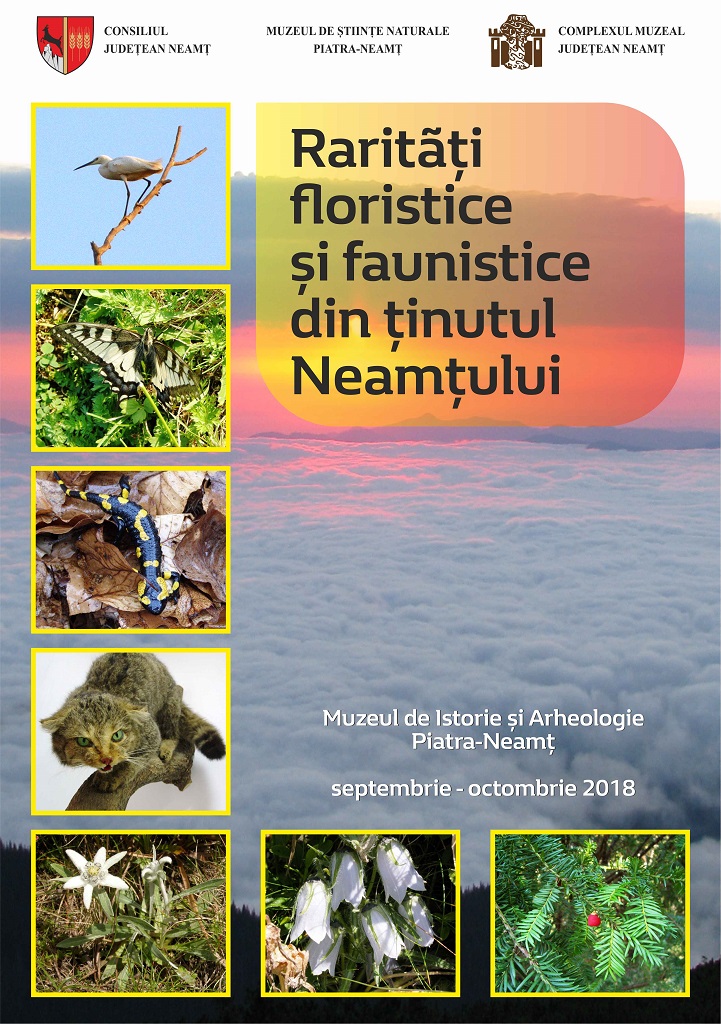 “Rarități floristice și faunistice din ținutul Neamțului“, 14 septembrie – 12 octombrie – fotografia 1