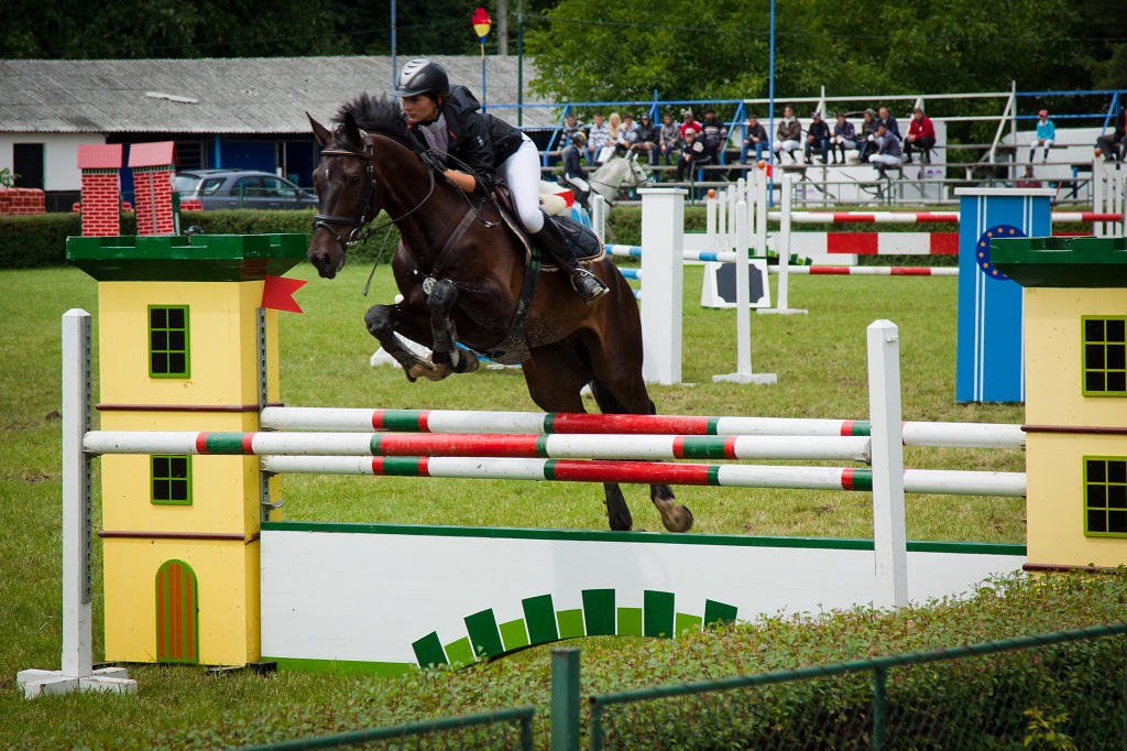 Patru zile de spectacol ecvestru la Piatra Neamț, 20-23 septembrie 2018 – fotografia 14