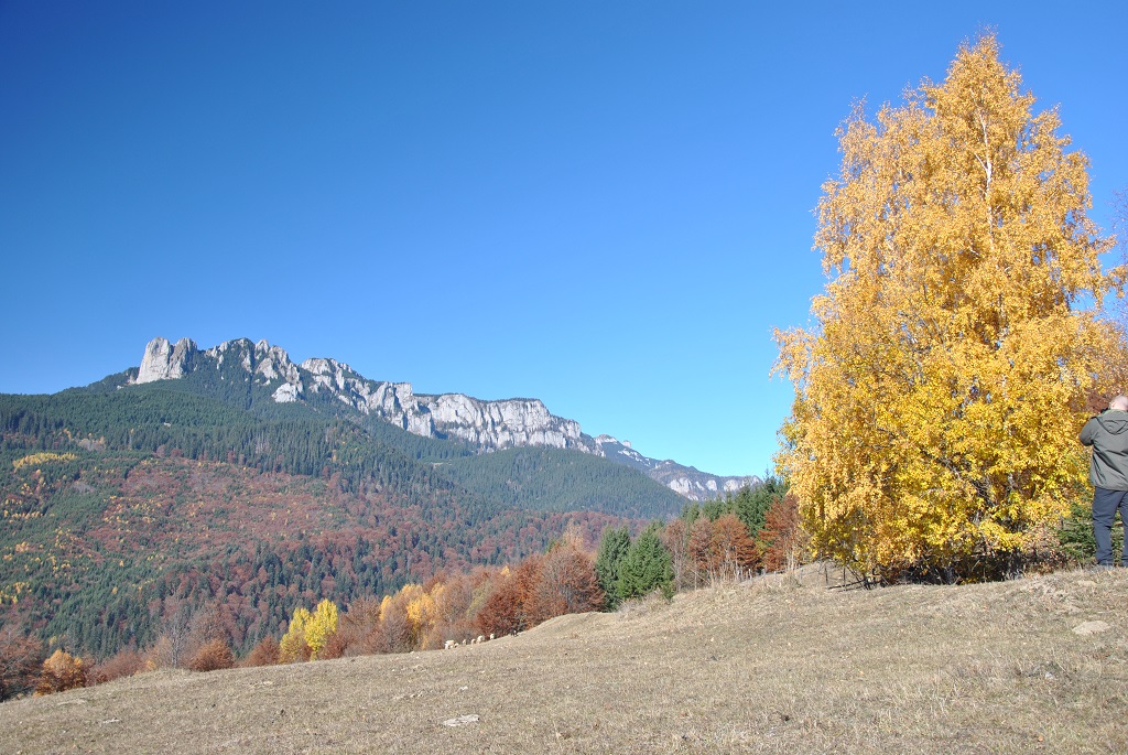 Izvoru Muntelui în culori de toamnă – fotografia 12