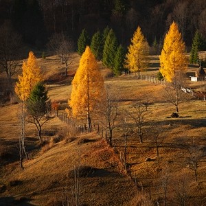 Izvoru Muntelui în culori de toamnă – fotografia 1