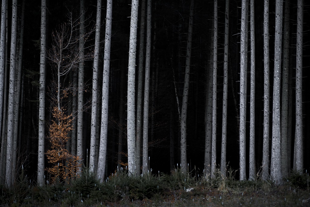 Descoperă Neamțul! – fotografia 27