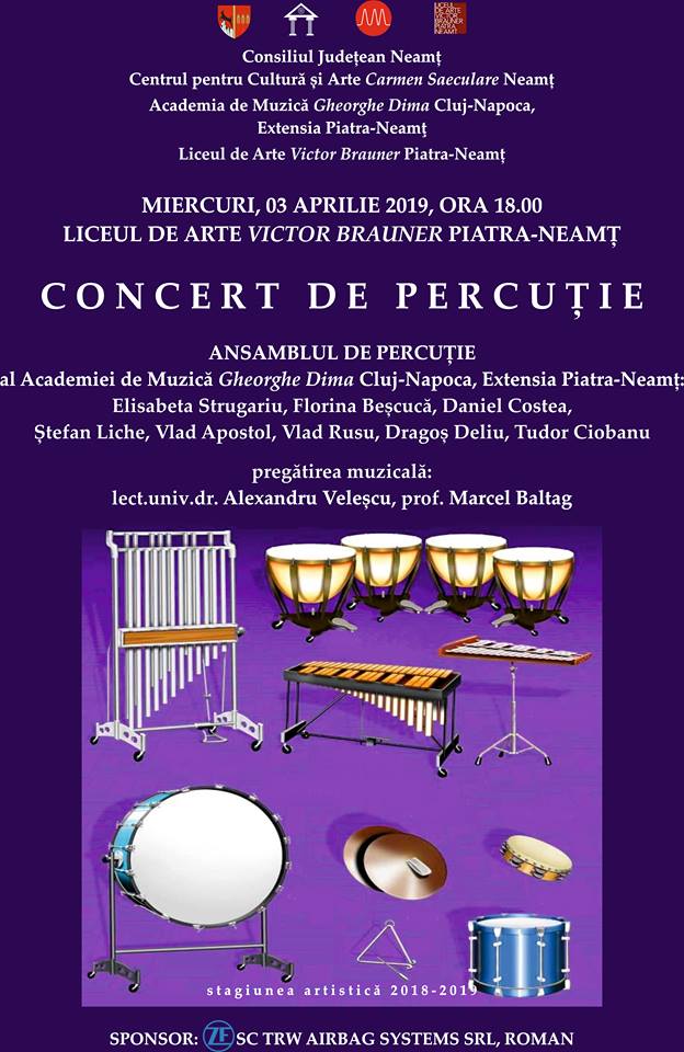 Concert de percuție la Piatra Neamț și la Roman – fotografia 1