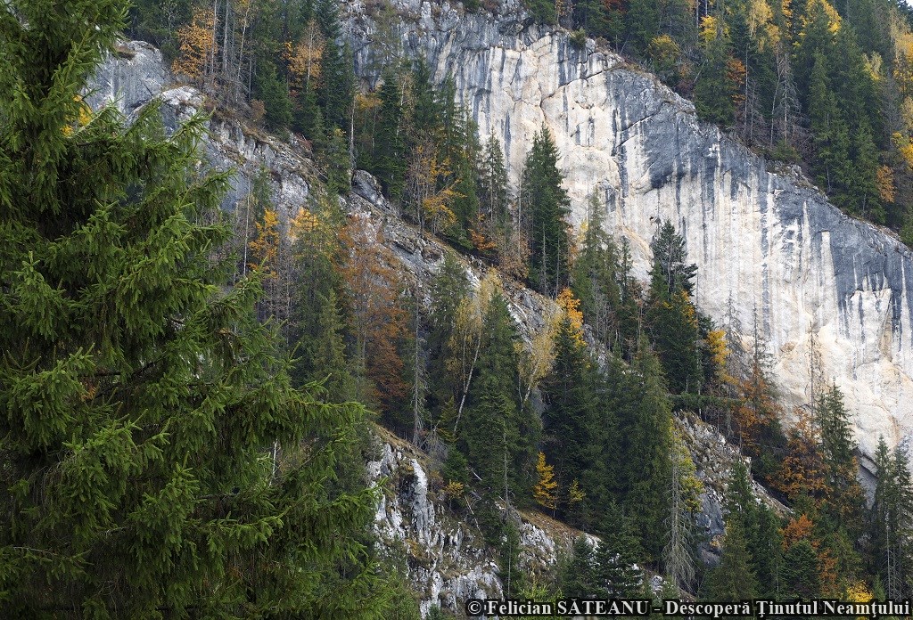 Poveste de toamnă în Neamț, un proiect organizat de Consiliul Județean Neamț – fotografia 22