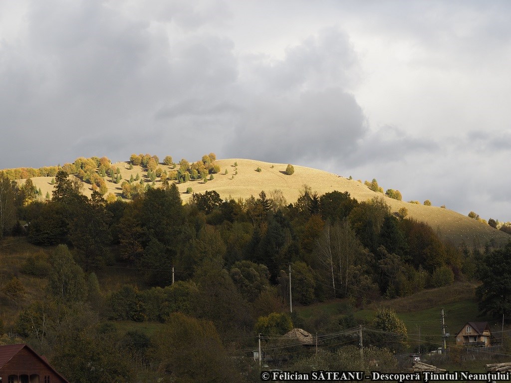 Poveste de toamnă în Neamț, un proiect organizat de Consiliul Județean Neamț – fotografia 36